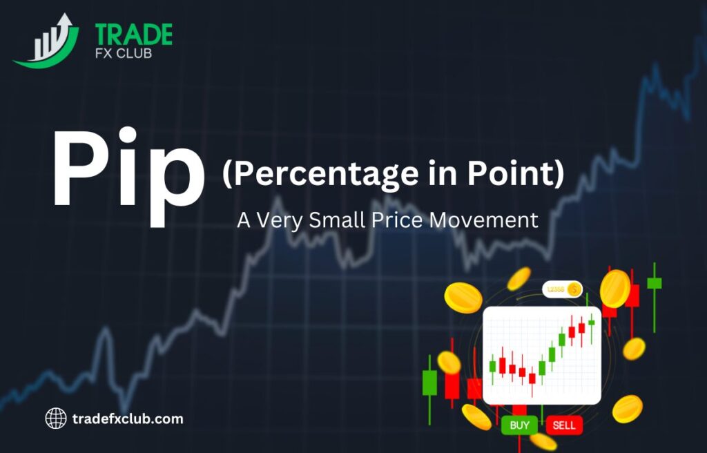 Pip: A very small price movement.