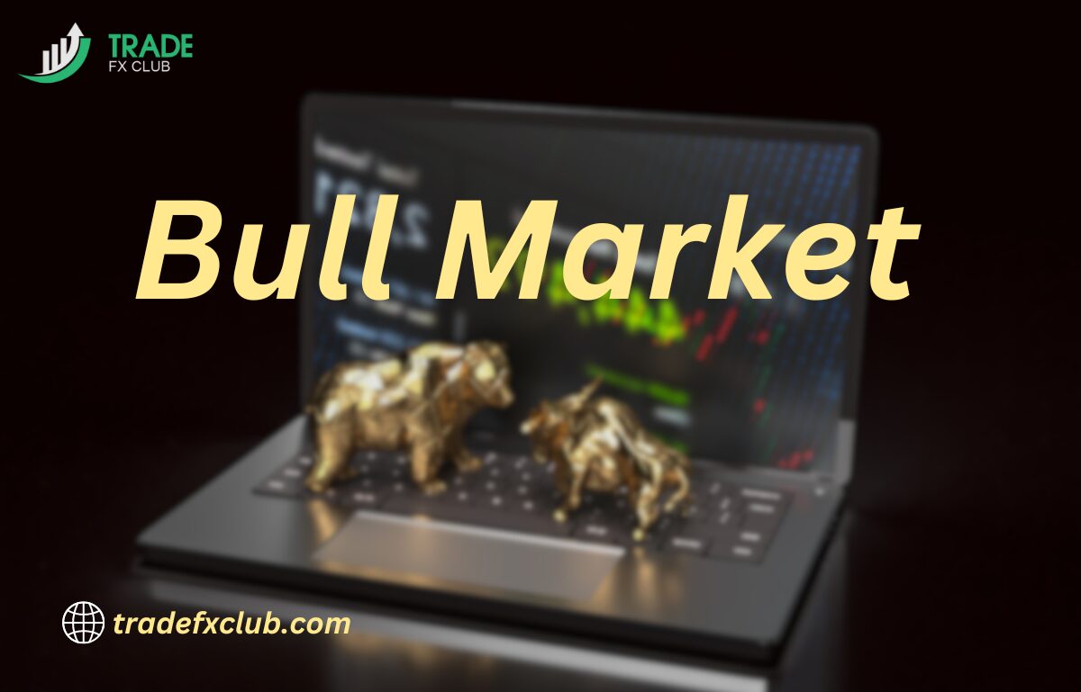 Bull Market in Forex Trading