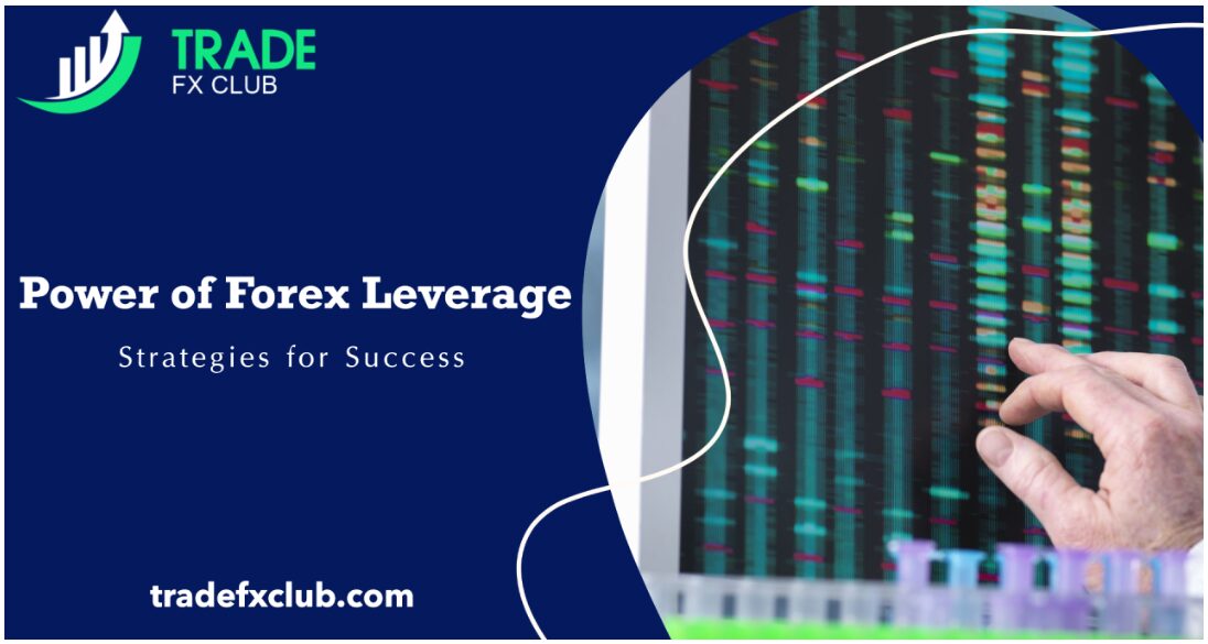 Power of Forex Leverage.